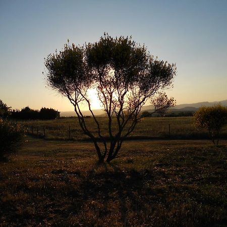 Agriturismo Il Grillo Parlante Pitigliano Exteriér fotografie