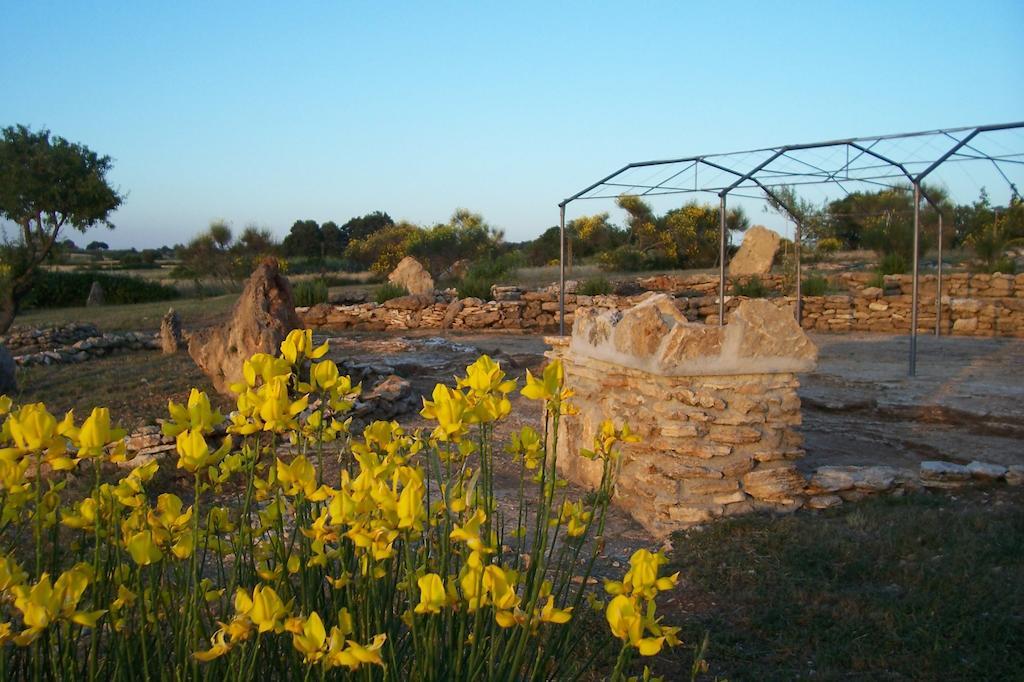 Agriturismo Il Grillo Parlante Pitigliano Exteriér fotografie