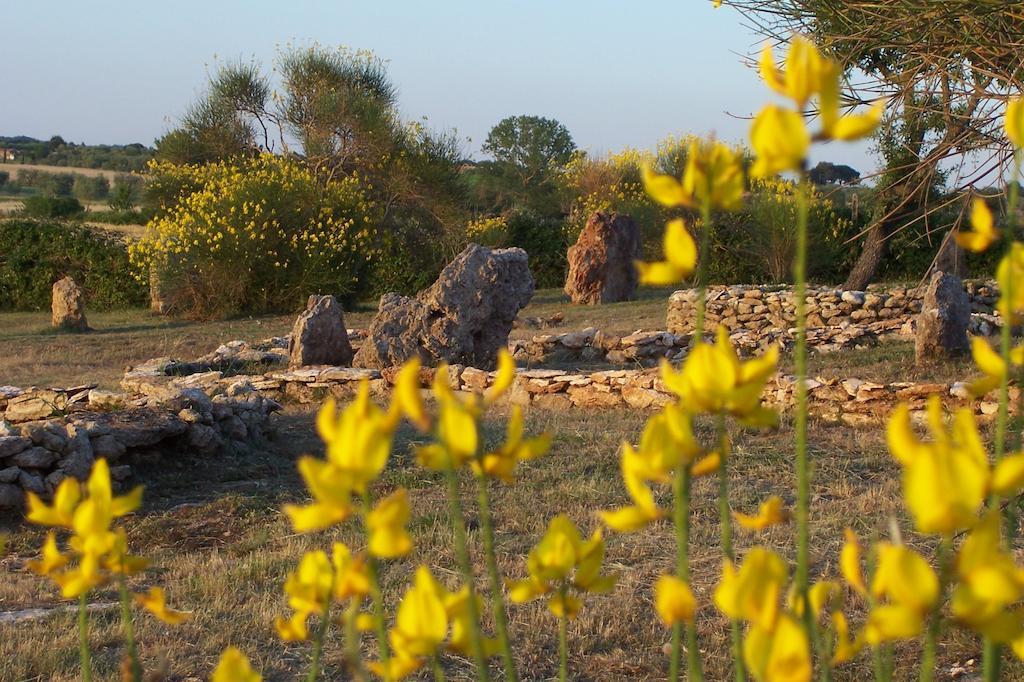Agriturismo Il Grillo Parlante Pitigliano Exteriér fotografie