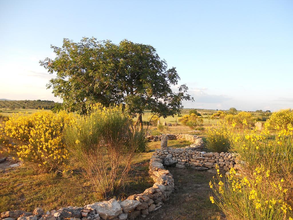 Agriturismo Il Grillo Parlante Pitigliano Exteriér fotografie