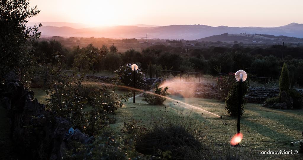 Agriturismo Il Grillo Parlante Pitigliano Exteriér fotografie