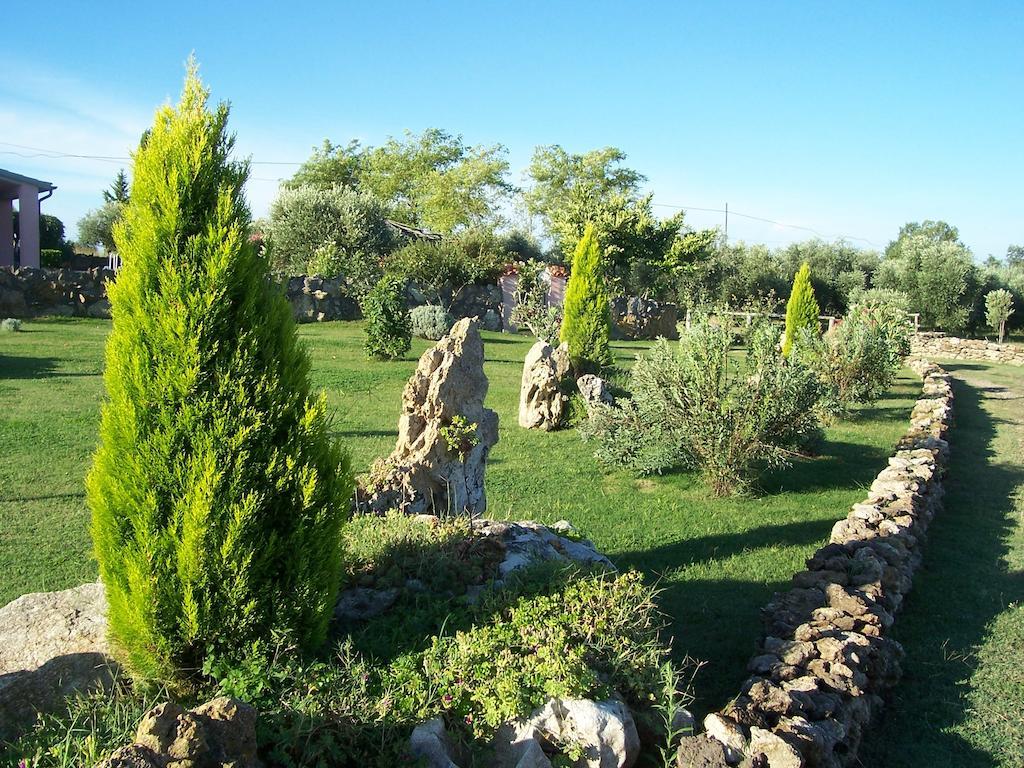 Agriturismo Il Grillo Parlante Pitigliano Exteriér fotografie